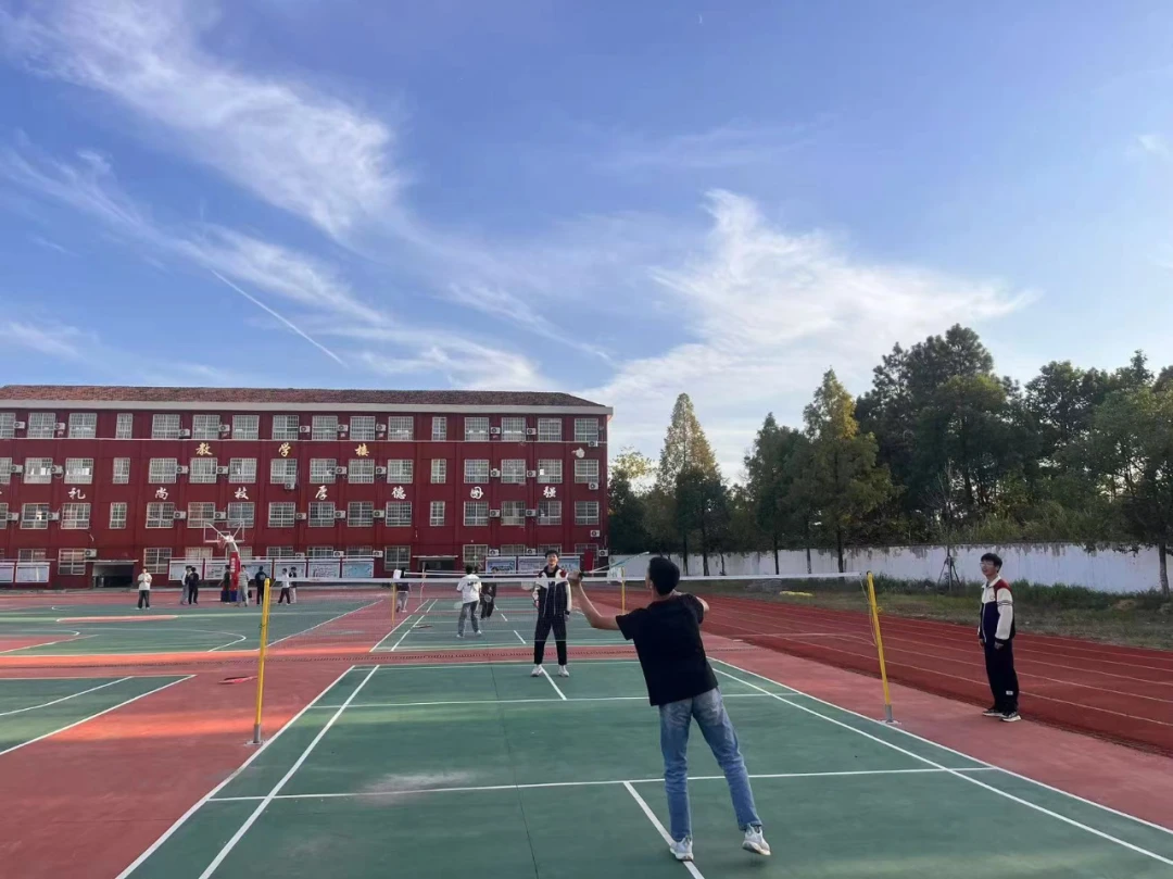 如何通过数据分析优化篮板训练效果?_2